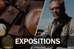Expositions médiathèques